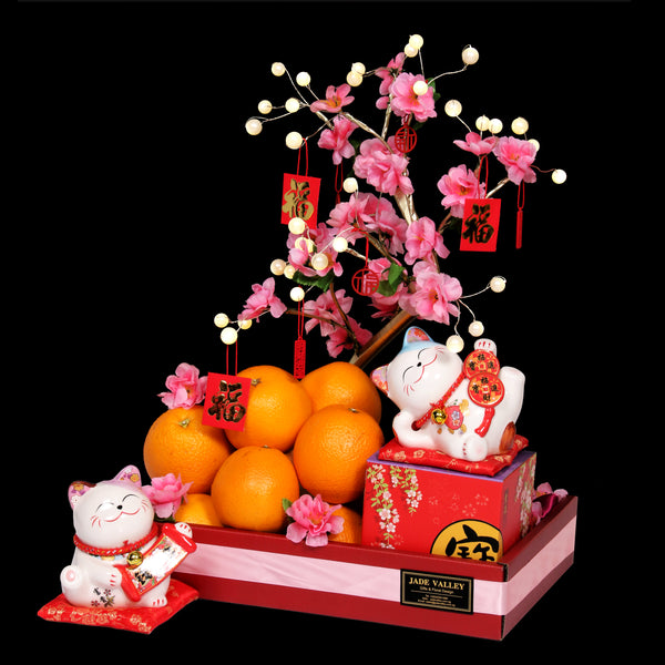 CNY Oranges, Lucky Cat and LED Tree | CN720 - Jade Valley Gifts & Floral Design Centre