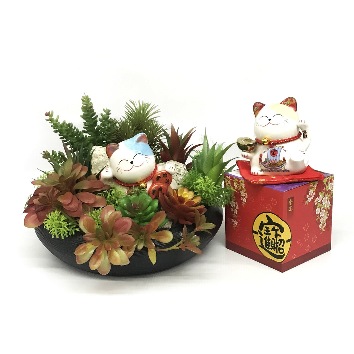 デイジー リップンディップ フラワー Flower キャット CAT 個性的 716ztnSFHaL._UF894,1000_QL80_.jpg
