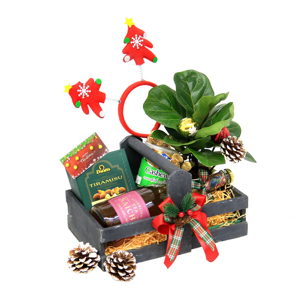 Christmas Hamper & Life Plant | MF12 - Jade Valley Gifts & Floral Design Centre
