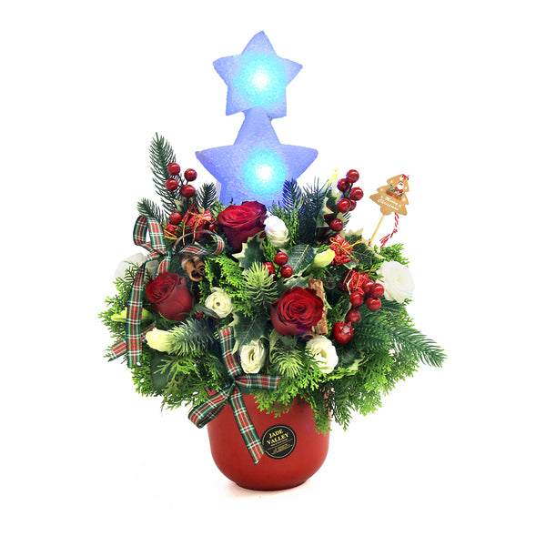 Christmas Flowers Tree with Star Lights| MF77 - Jade Valley Gifts & Floral Design Centre