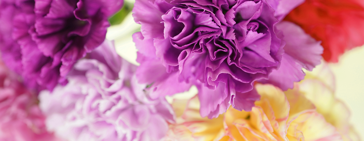 Mother's Day Gifts & Hampers Jade Valley 