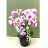 Hari Raya Artitifical Flowers | RF80 - Jade Valley Gifts & Floral Design Centre