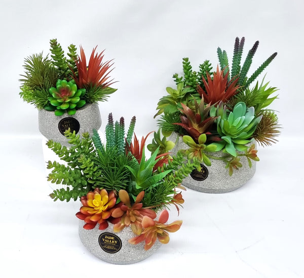 Artificial Succulent Plant | ART48 - Jade Valley Gifts & Floral Design Centre