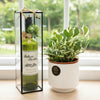 Wine & Planter | GT273 - Jade Valley Gifts & Floral Design Centre