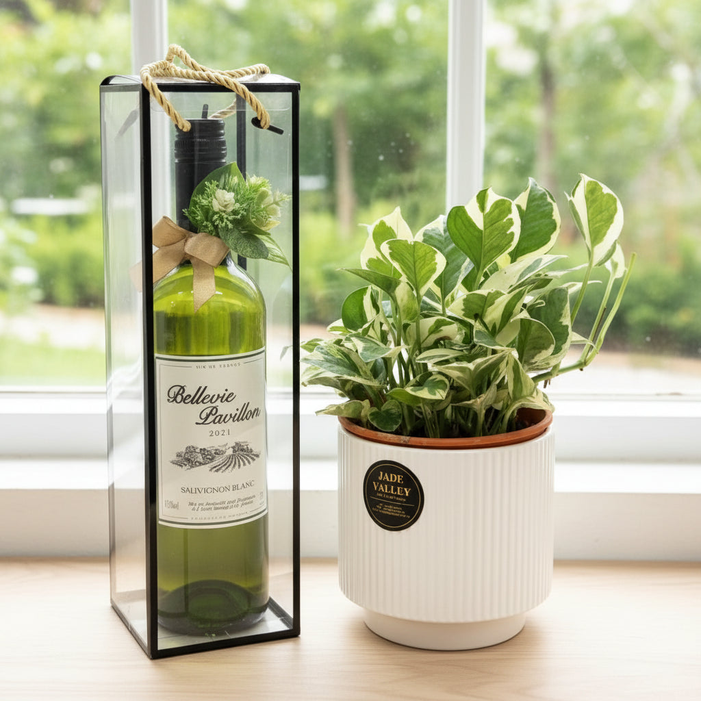 Wine & Planter | GT273 - Jade Valley Gifts & Floral Design Centre