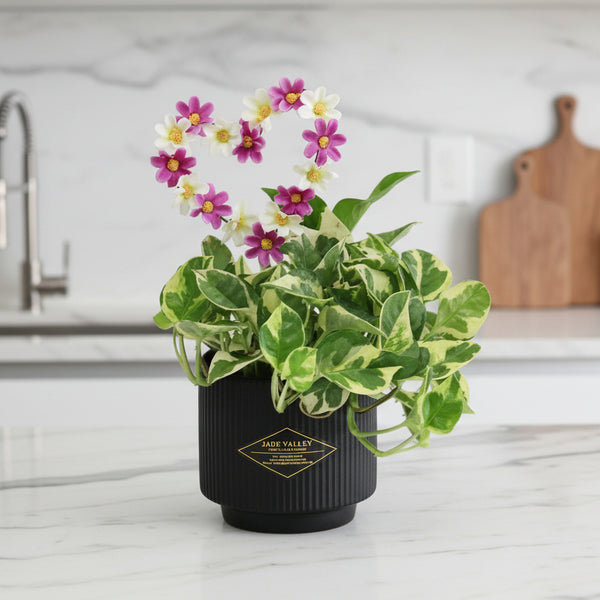 Fresh Cut Bouquet with Hand Blender | GT288 - Jade Valley Gifts & Floral Design Centre