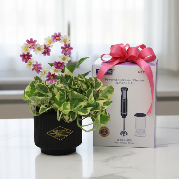 Fresh Cut Bouquet with Hand Blender | GT288 - Jade Valley Gifts & Floral Design Centre