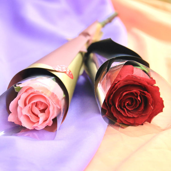 Single Stalk Rose-Carnation | V47-V48 - Jade Valley Gifts & Floral Design Centre
