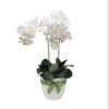 Artificial Oriental Orchid  | ART57 - Jade Valley Gifts & Floral Design Centre