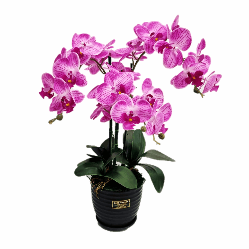 Artificial Real-Touch Oriental Orchid 65cm | ART35 - Jade Valley Gifts & Floral Design Centre