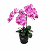 Artificial Real-Touch Oriental Orchid 65cm | ART35 - Jade Valley Gifts & Floral Design Centre