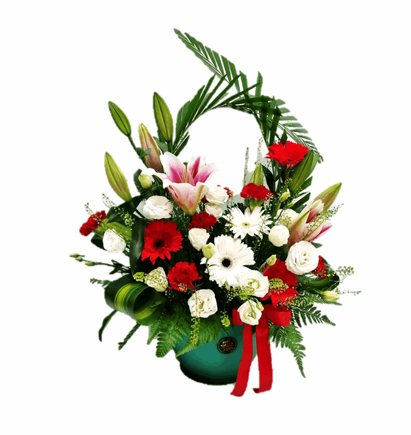 Christmas Flowers | MF196 - Jade Valley Gifts & Floral Design Centre