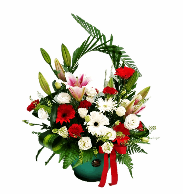 Christmas Flowers | MF196 - Jade Valley Gifts & Floral Design Centre