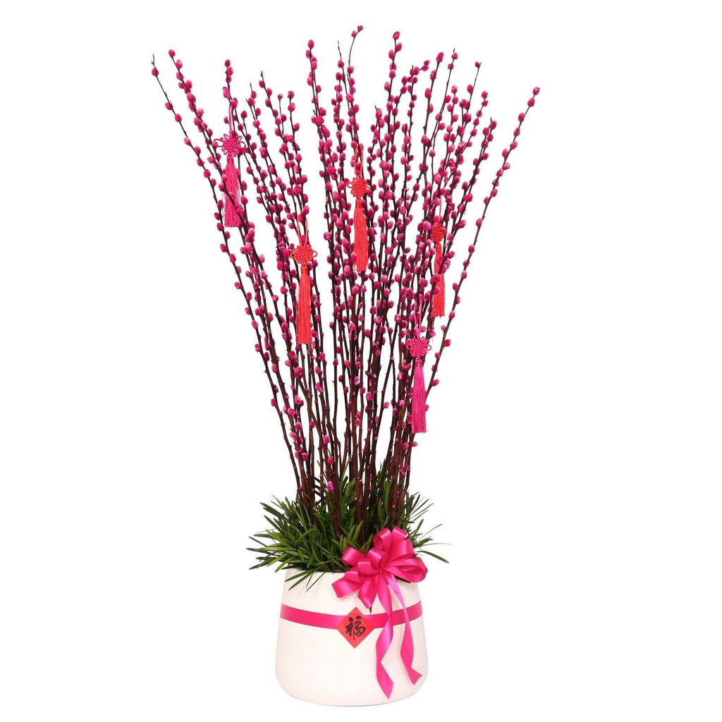 CNY Fresh-Cut Posy Willow | Tall Arrangement | CN319 - Jade Valley Gifts & Floral Design Centre
