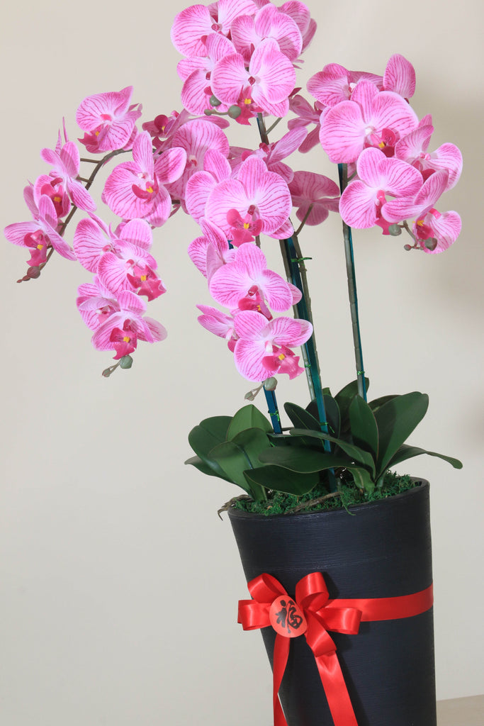 CNY Real-Touch Orchids | CN309 - Jade Valley Gifts & Floral Design Centre