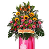 Congratulatory Grand Opening Flower | FO220 - Jade Valley Gifts & Floral Design Centre