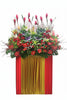Congratulatory Grand Opening Flower | FO226 - Jade Valley Gifts & Floral Design Centre