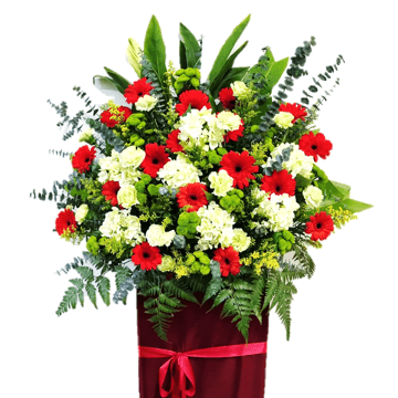 Congratulatory Grand Opening Flower | FO229 - Jade Valley Gifts & Floral Design Centre