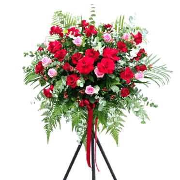 Congratulatory Grand Opening Flower | FO250 - Jade Valley Gifts & Floral Design Centre