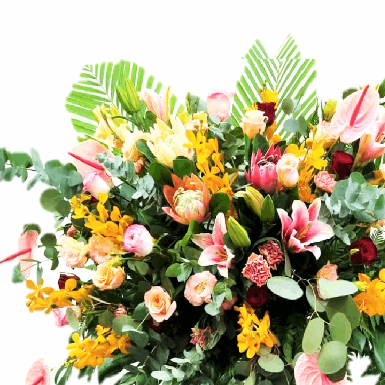Congratulatory Grand Opening Flower | FO251 - Jade Valley Gifts & Floral Design Centre