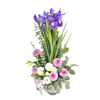 Fresh Cut Iris & Eustoma in a Potted Vase | MD83 - Jade Valley Gifts & Floral Design Centre