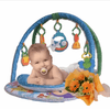 Newborn Baby Play Gym | B254 - Jade Valley Gifts & Floral Design Centre