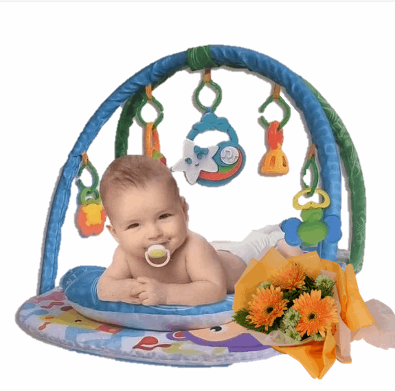 Newborn Baby Play Gym | B254 - Jade Valley Gifts & Floral Design Centre