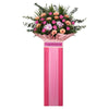 Pink Daisies Grand Opening Stand | FO210 - Jade Valley Gifts & Floral Design Centre