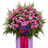 Pink & Purple Opening Stand | FO207 - Jade Valley Gifts & Floral Design Centre