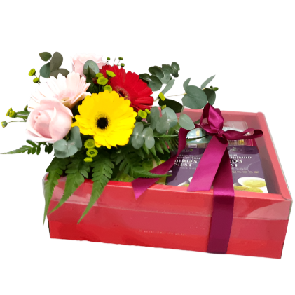 Premium Health Foods with Concentrated Bird's Nest | HF209 - Jade Valley Gifts & Floral Design Centre