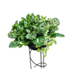 Real-Touch Artificial Potted Plant | ART42 - Jade Valley Gifts & Floral Design Centre