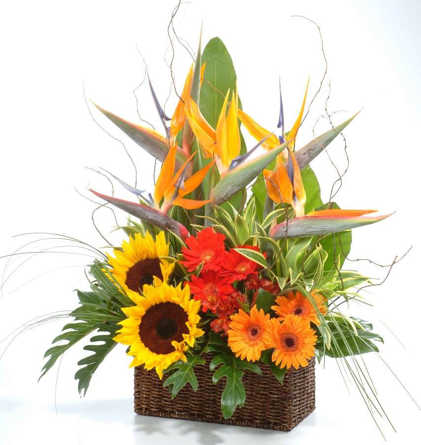 Sunflowers & Birds of Paradise Table Arrangement | TB140 - Jade Valley Gifts & Floral Design Centre