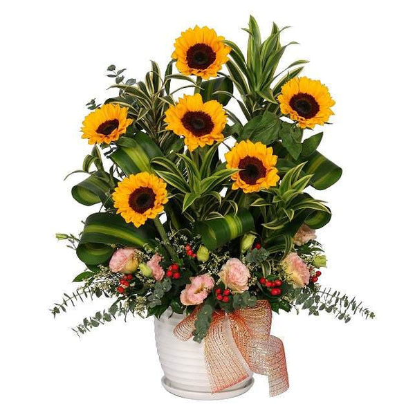 Table Arrangement | Fresh Cut Sunflowers  | TB139 - Jade Valley Gifts & Floral Design Centre