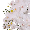 White Artificial Potted Phalaenopsis Orchid | ART31 - Jade Valley Gifts & Floral Design Centre